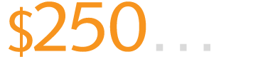 Donate $250